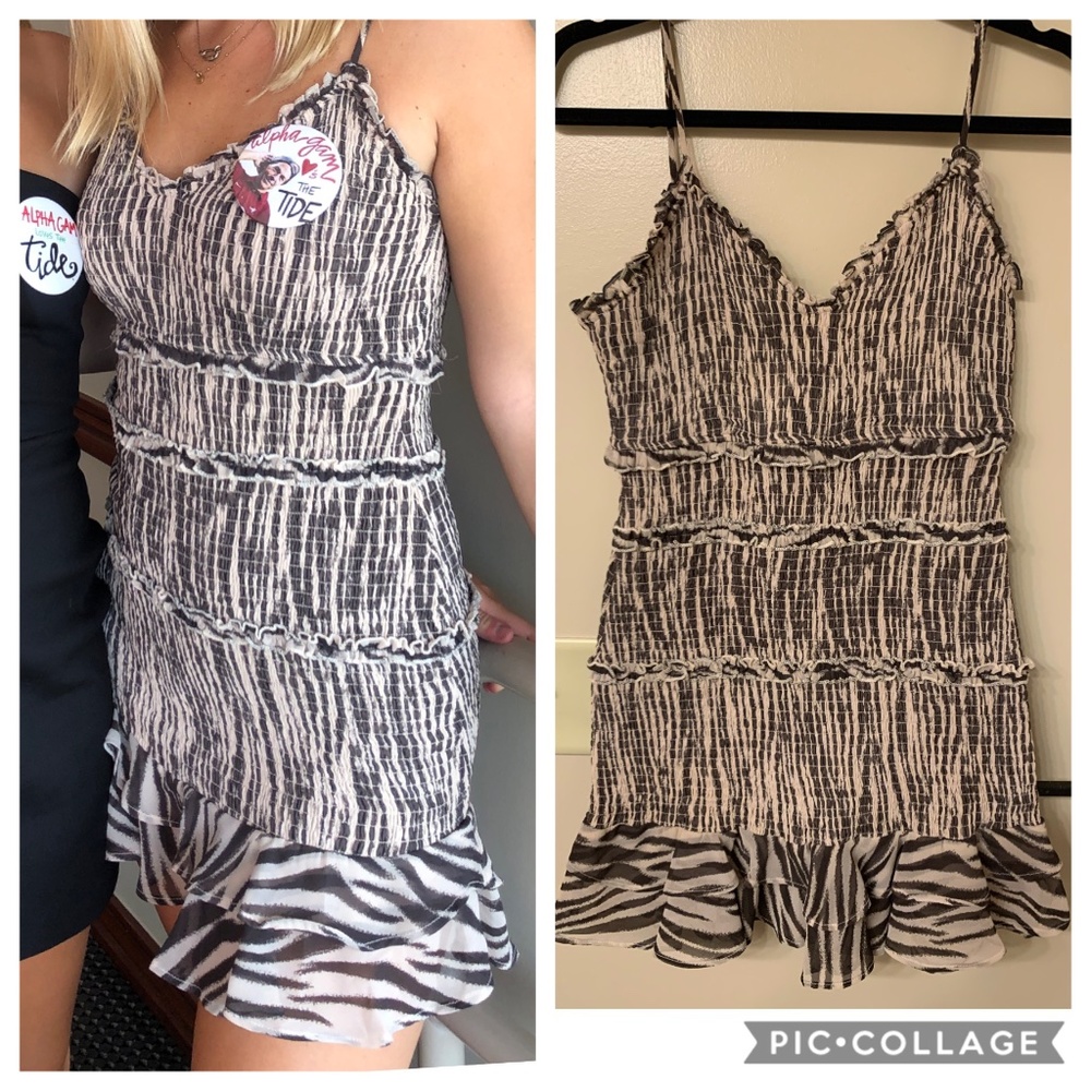 Zebra Mini Dress